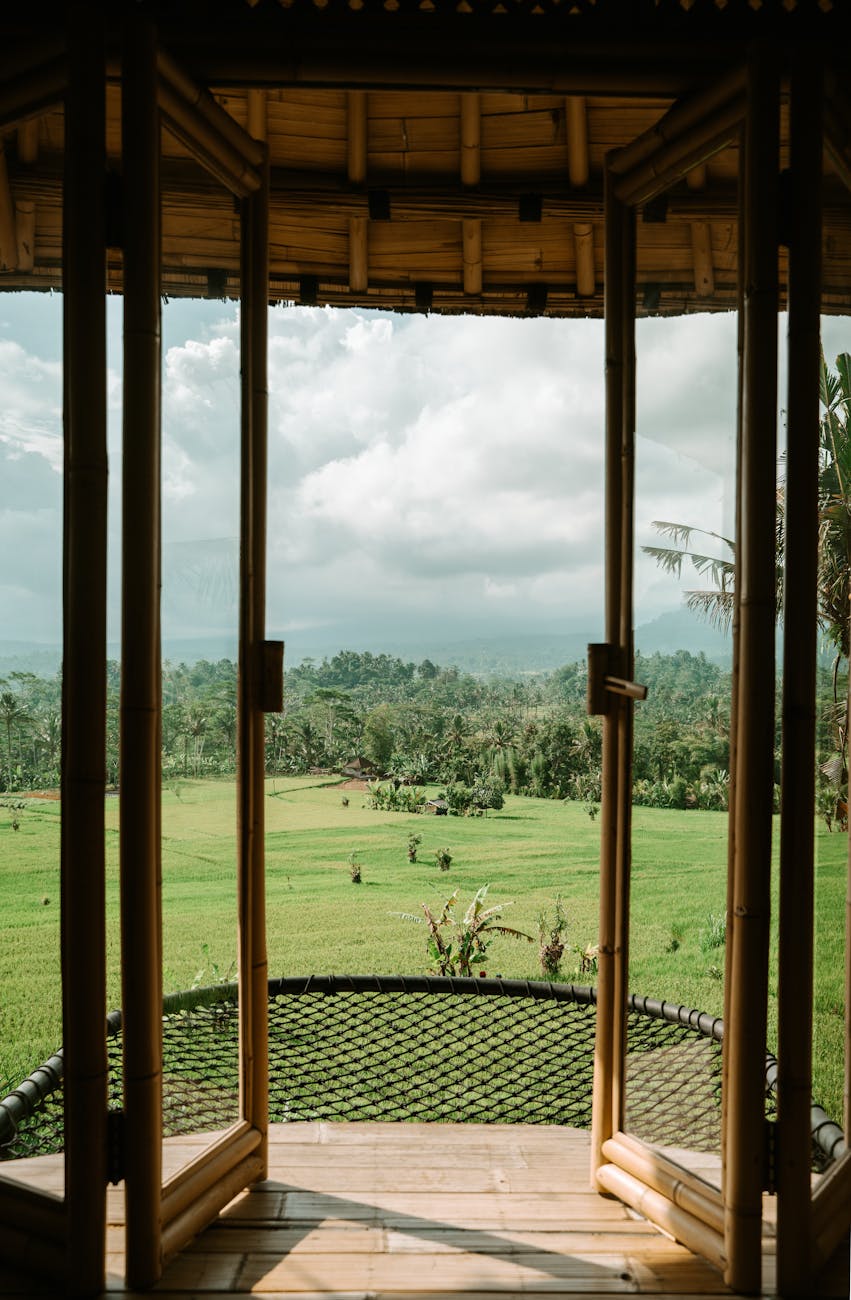 scenic view of bali rice fields through bamboo frame